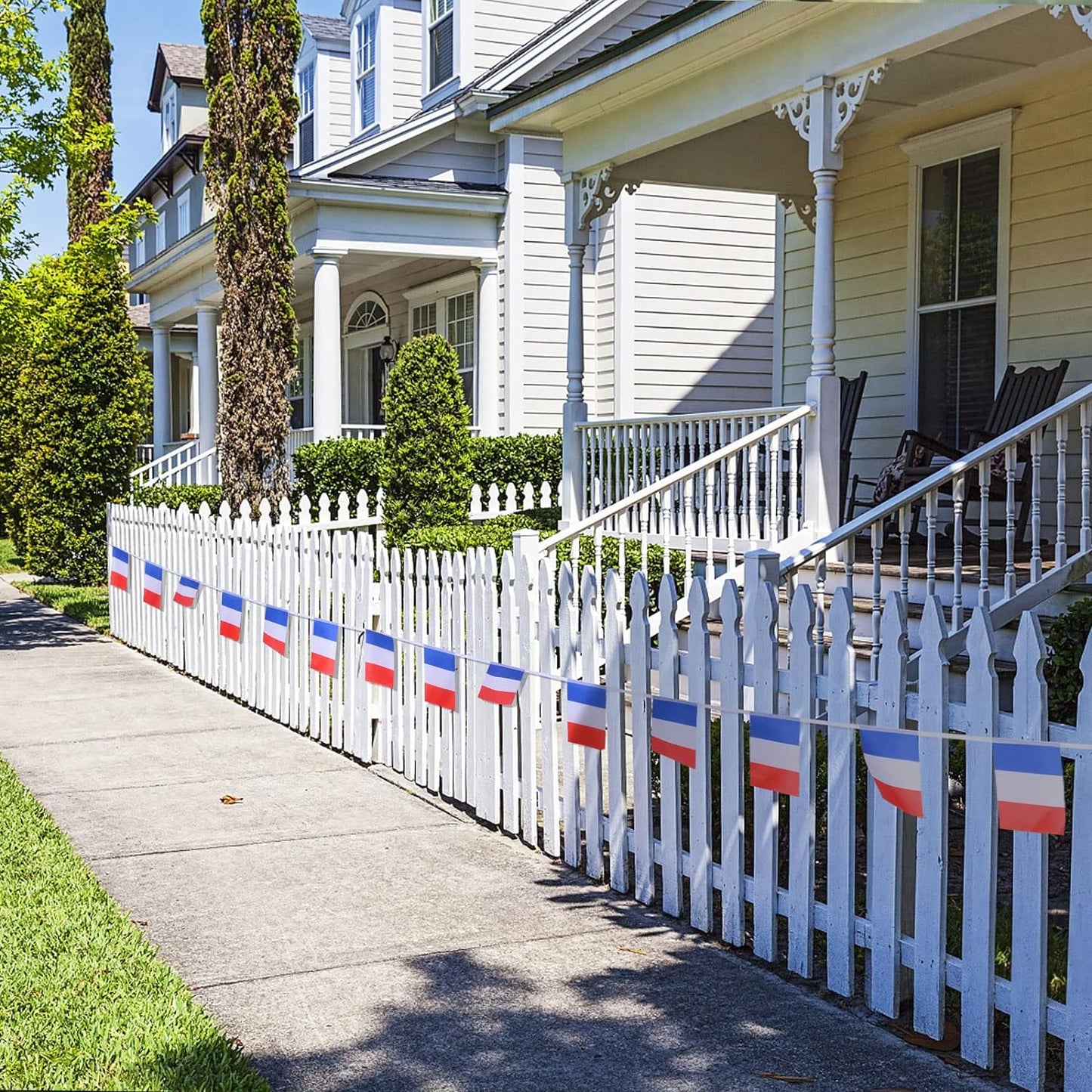 France Bunting 10m with 20 Flags