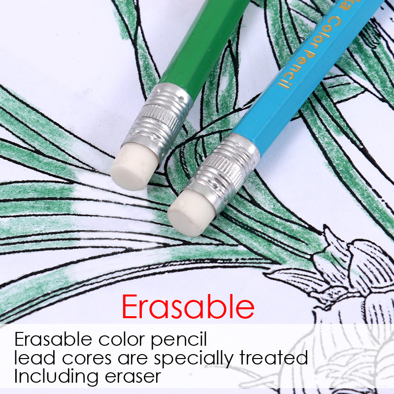 Pack of 12 7" Drawing Erasable Colouring Pencils Set