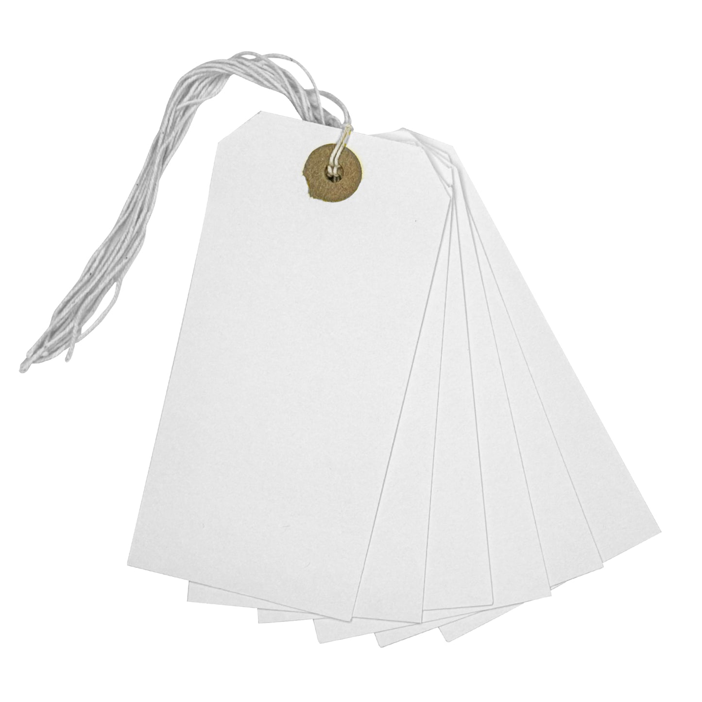 Box of 1000 White Strung Tags 120mm x 60mm