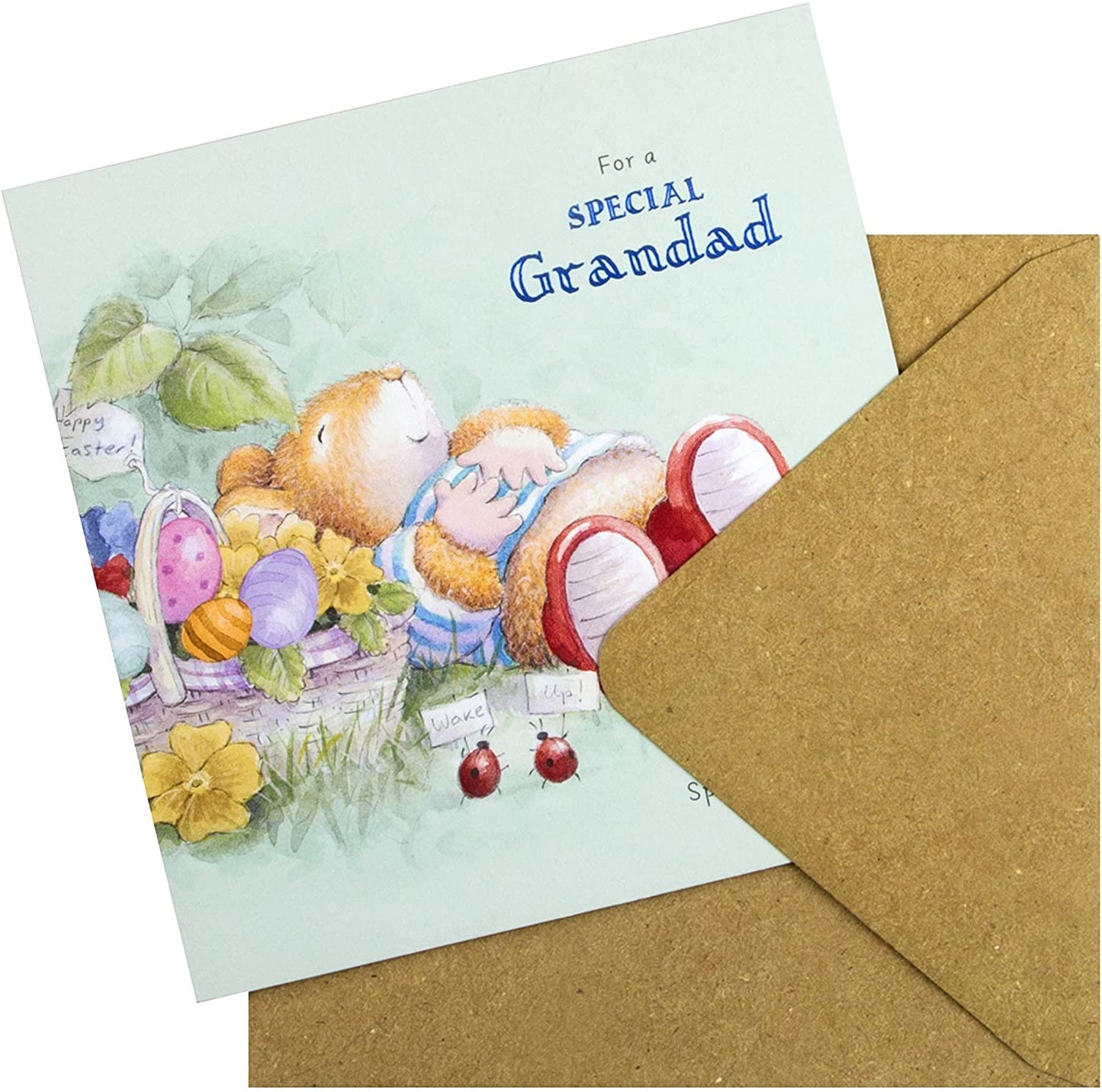 For A Special Grandad Cute Country Companions Design Easter Card