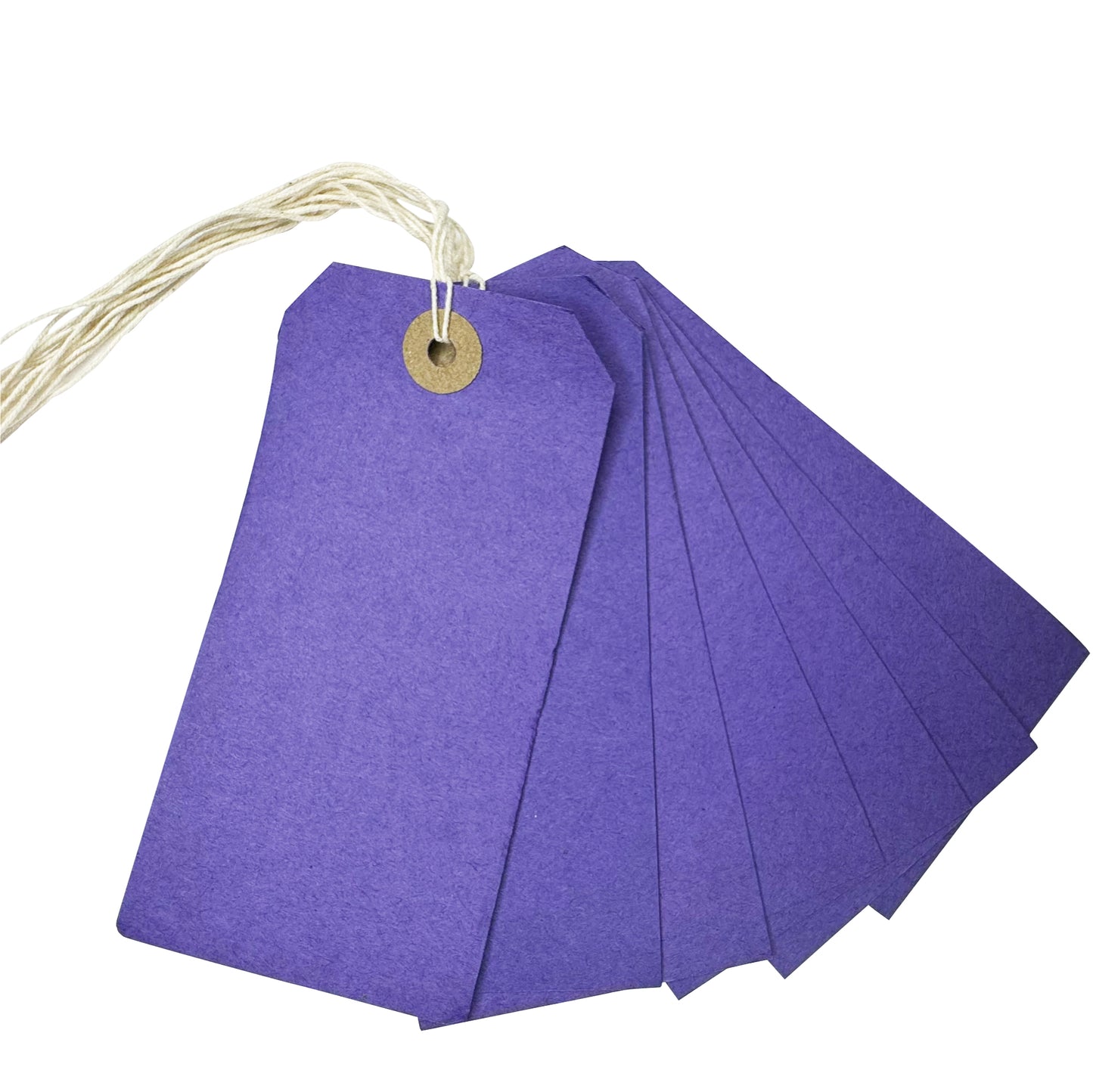 Box of 1000 Purple Strung Tags 120mm x 60mm