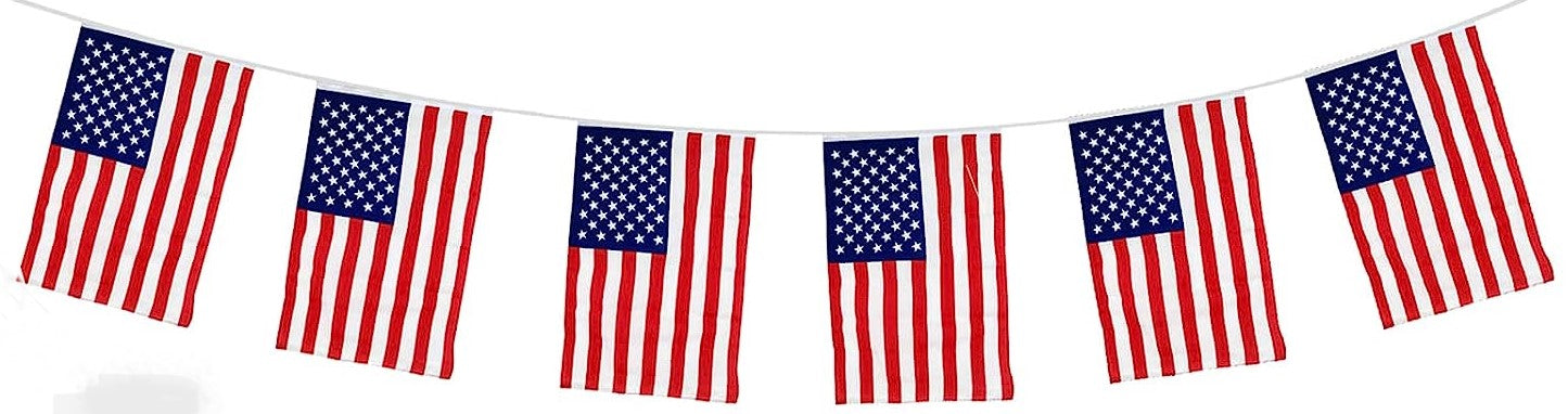 USA Rectangular Bunting 10m with 20 Flags