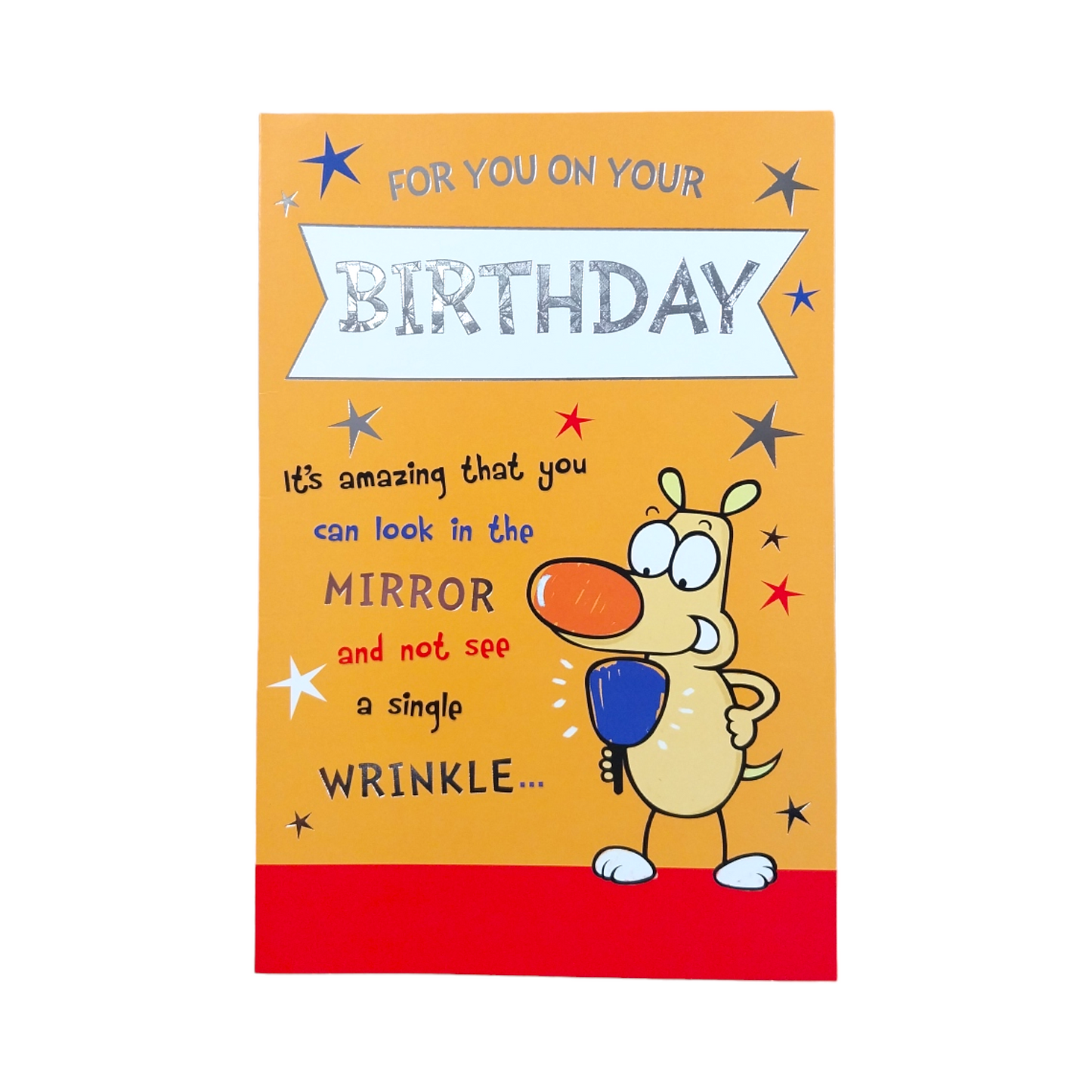 For You On Your Birthday Cute Dog Holding Mirror Design Open Witty Words Card