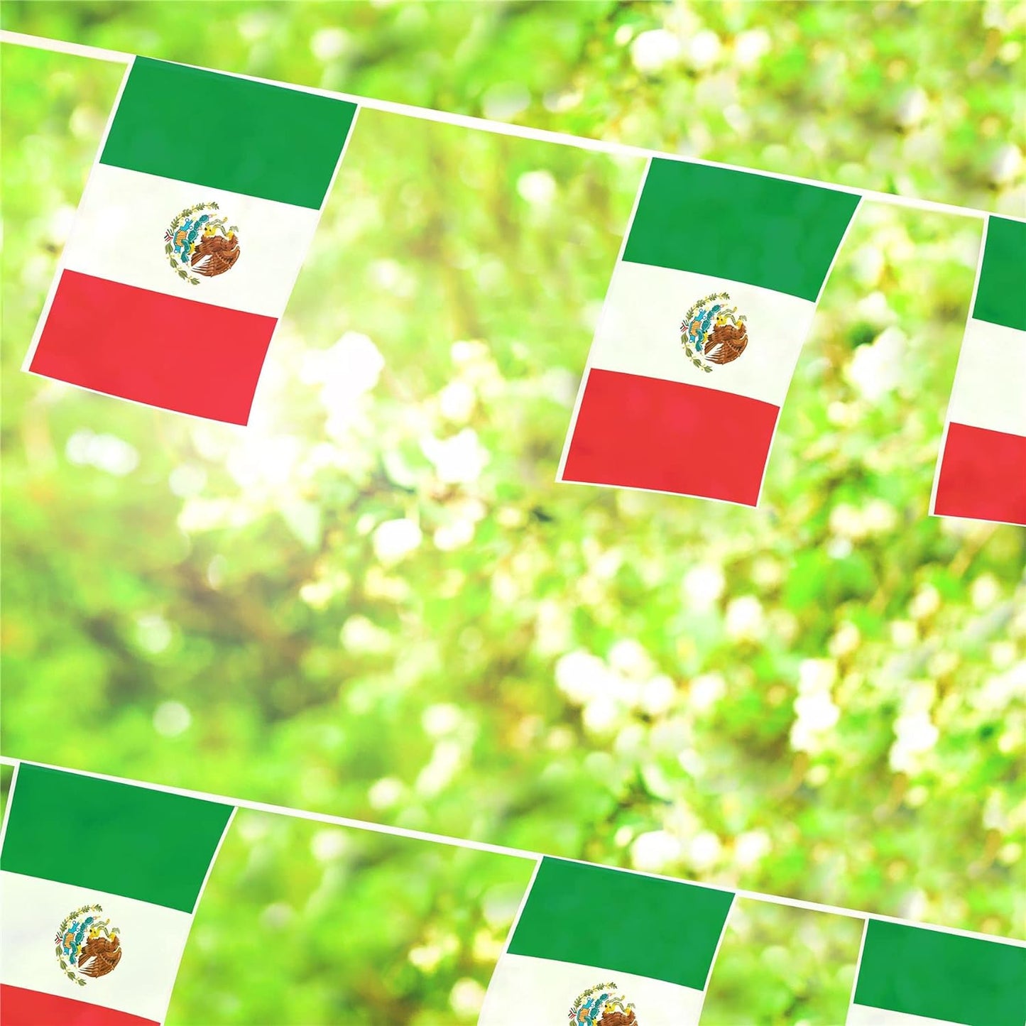 Mexico Rectangle Bunting 10m with 20 Flags