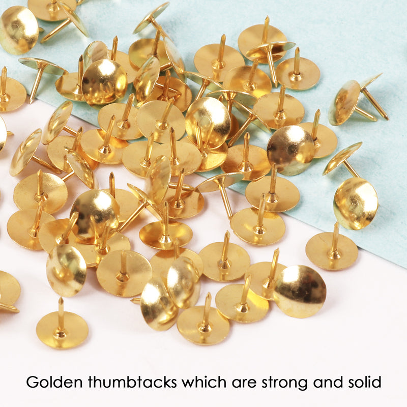 Pack of 50 Golden Thumb Tack Push Pins