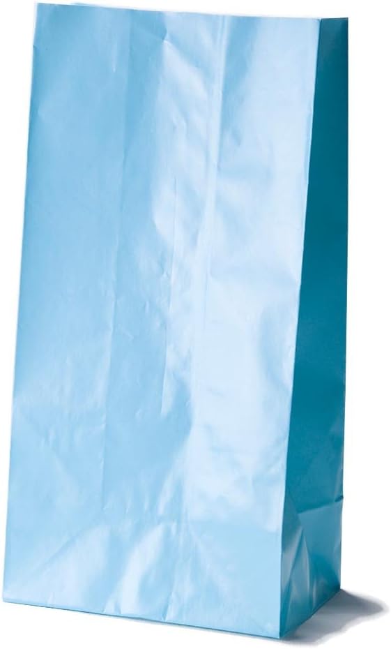 Pack of 12 Baby Blue Paper Party Bags