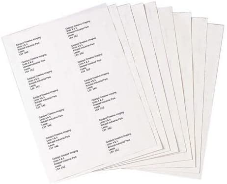 Multipurpose Copier Labels 210x287mm 1 Per Sheet White (Pack of 100)