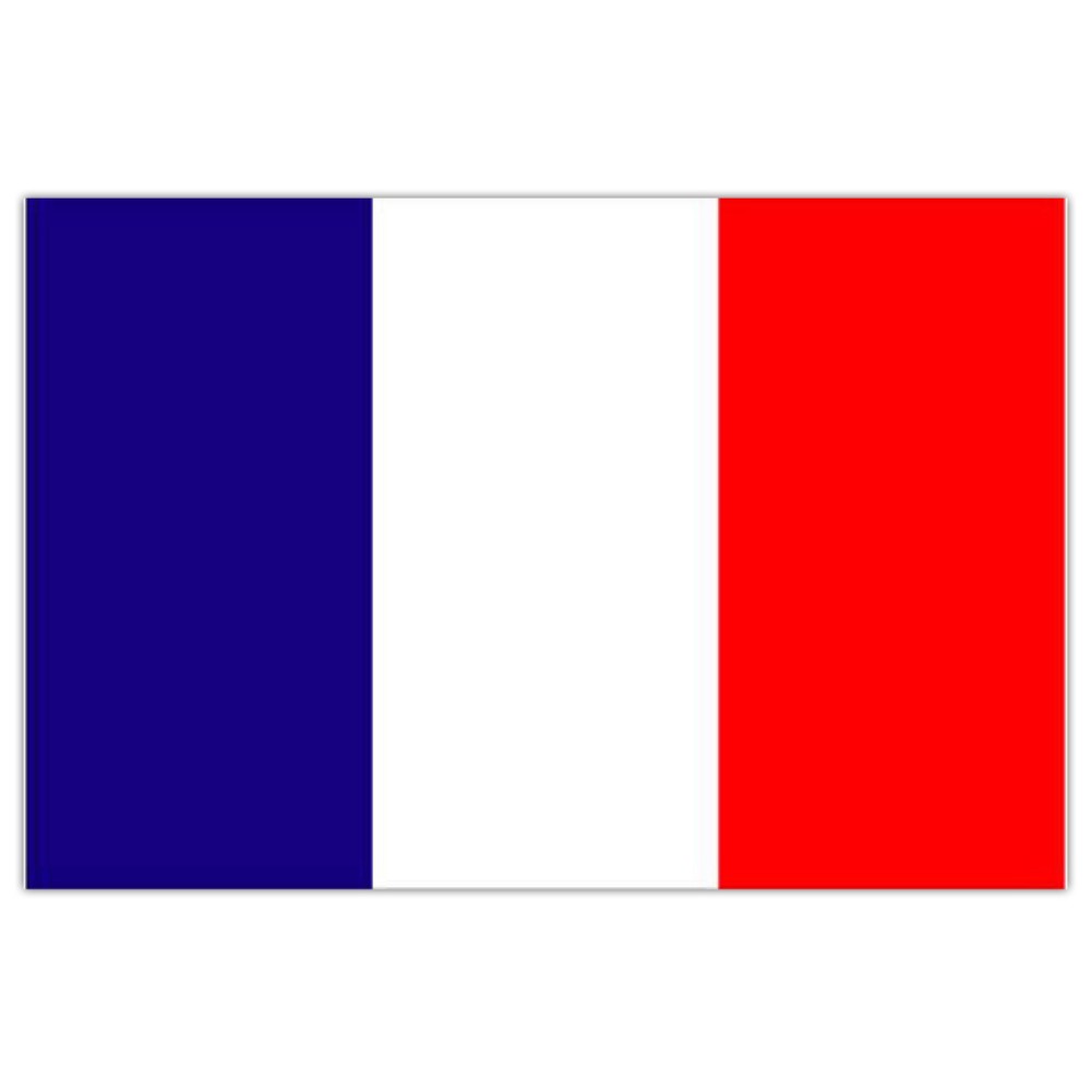 France Flag 5ft X 3ft