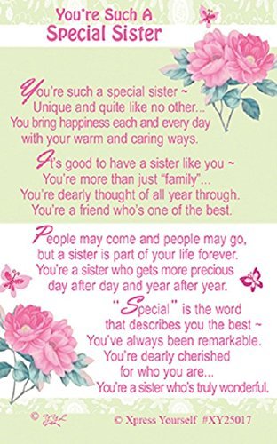 Special Sister Nice Verse Keepsake Wallet Purse Greeting Card