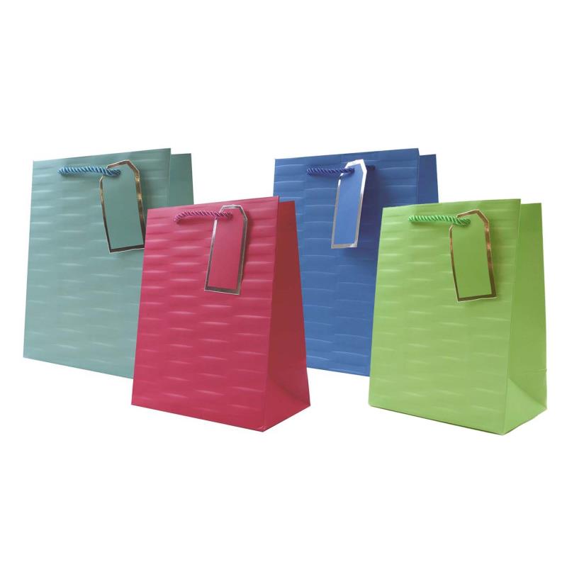 Pack of 12 Embossed Bright Coloured Medium Gift Bags