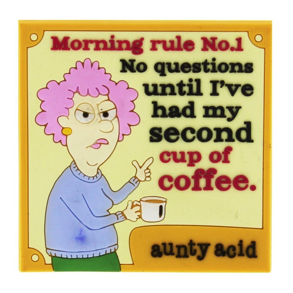 Aunty Acid Rubber Fridge Magnet Morning Rules