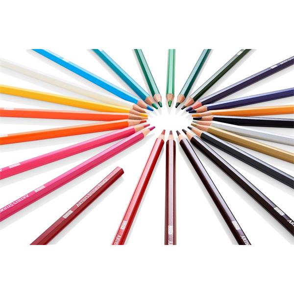 Box of 24 Artists Studio Colour Pencils by Icon Art