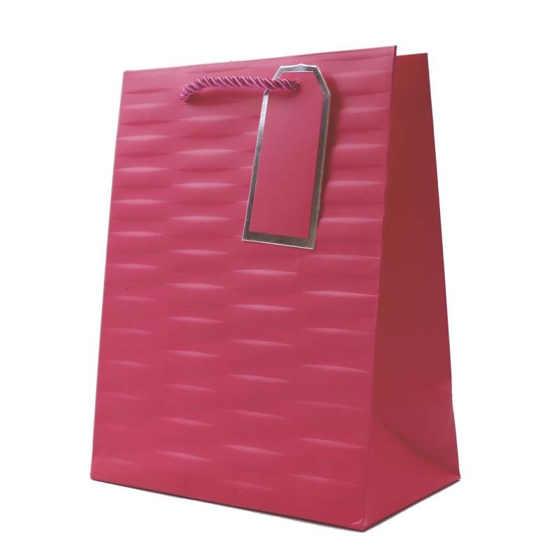 Embossed Bright Coloured Medium Gift Bag