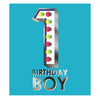 Boy 1st Birthday Greeting Card {DC}