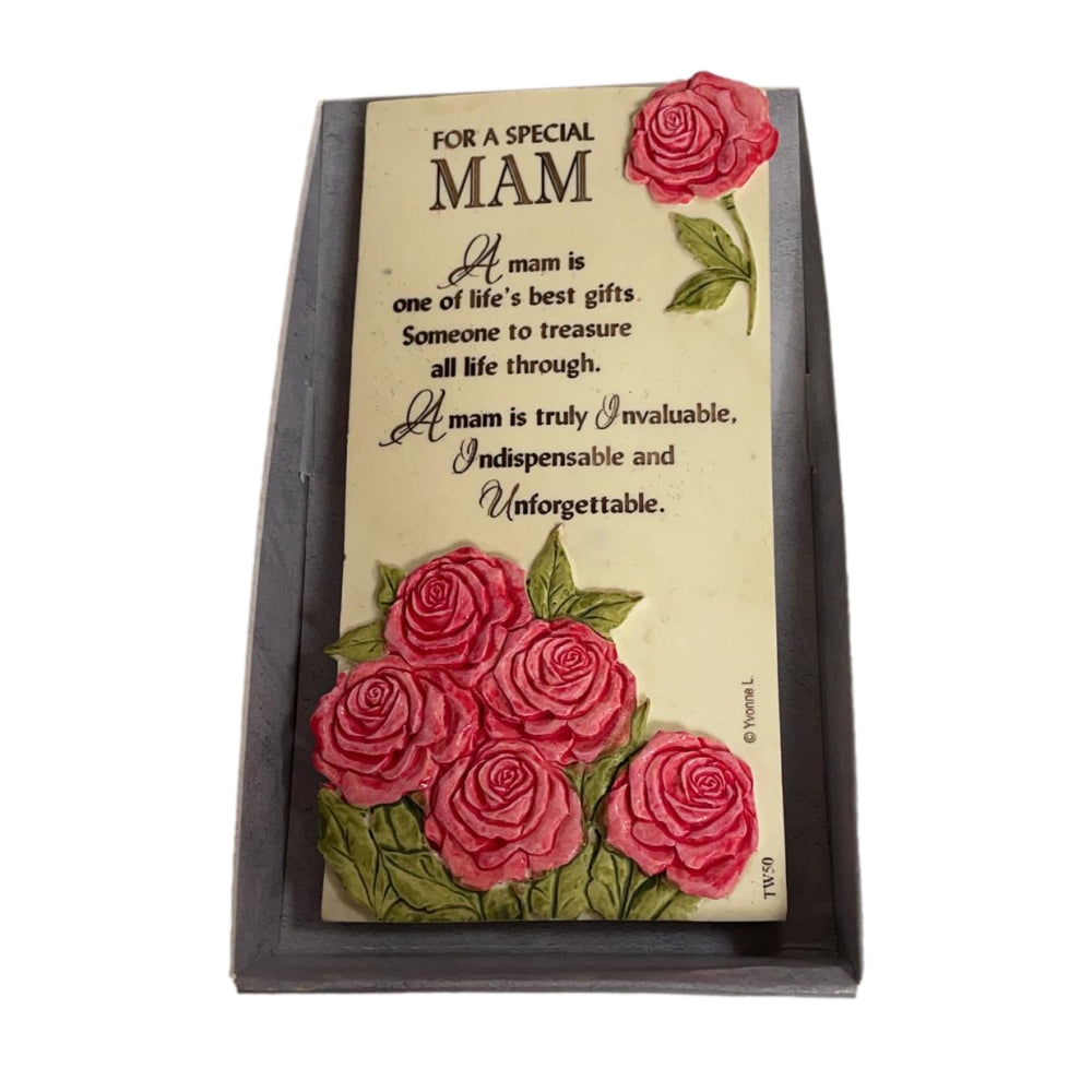 For A Special Mam Timeless Words Plaque