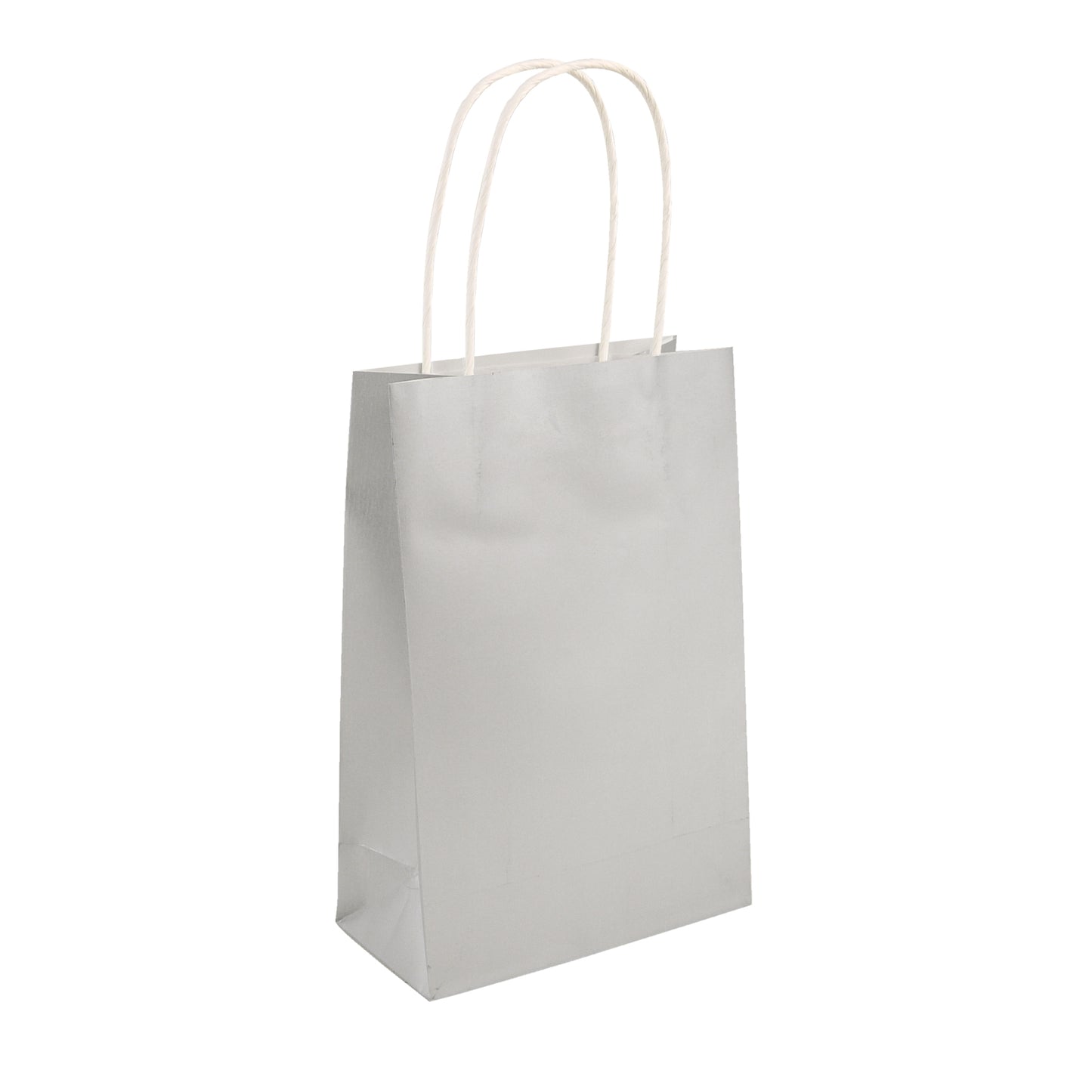 Pack of 24 Silver Party Bags with Handles