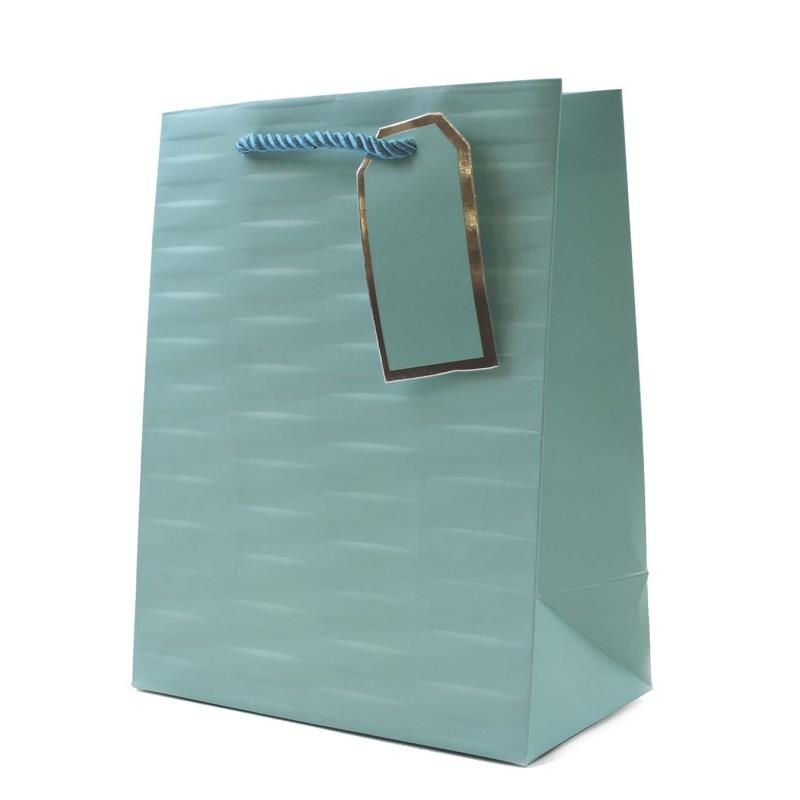 Embossed Bright Coloured Medium Gift Bag